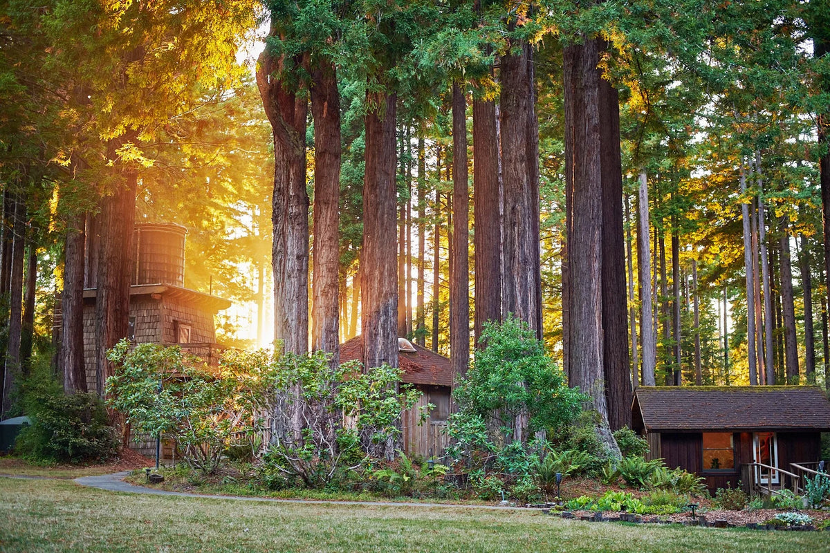 The meadow at Spirit Camp