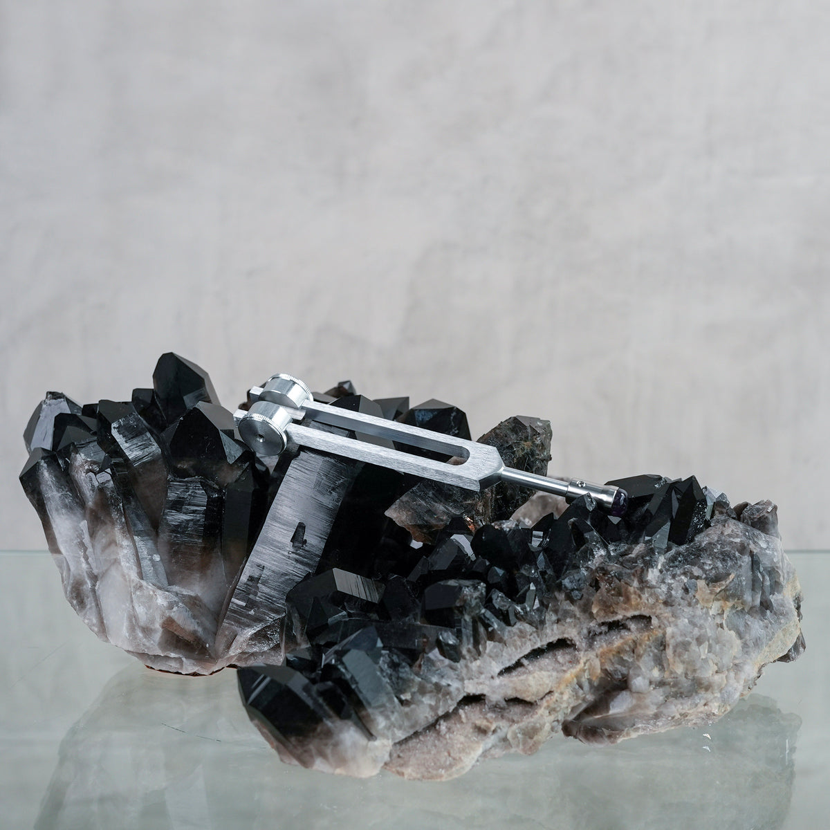 Tuner - Otto 128 in + 15mm Gem Foot Attachment