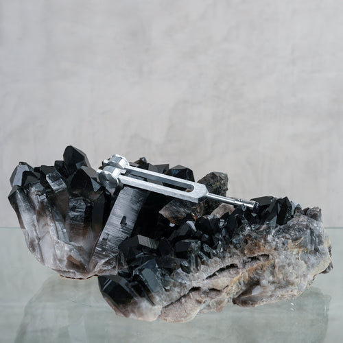 Tuner - Otto 128 in + 15mm Gem Foot Attachment