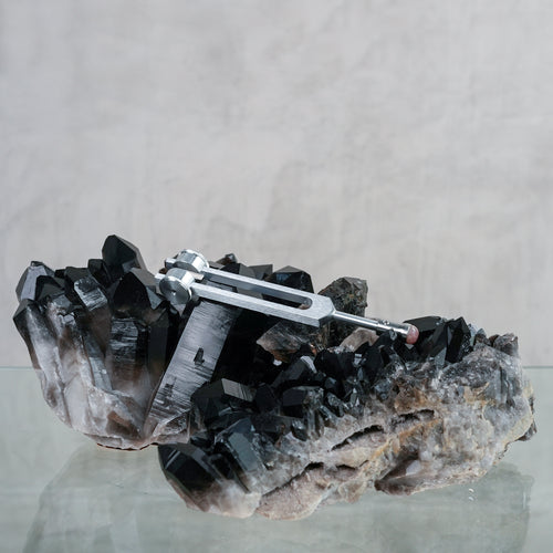 Tuner - Otto 128 in + 15mm Gem Foot Attachment