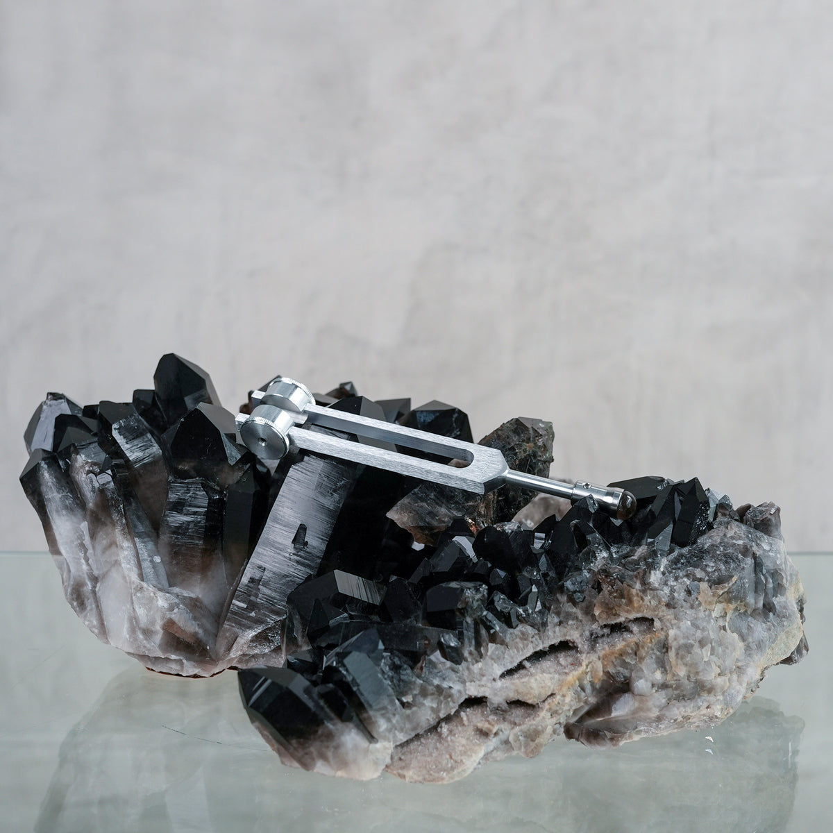Tuner - Otto 128 in + 15mm Gem Foot Attachment