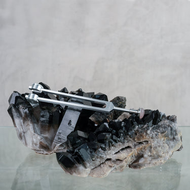 Tuner - “Otto 64” + 25mm Gem Foot Attachment