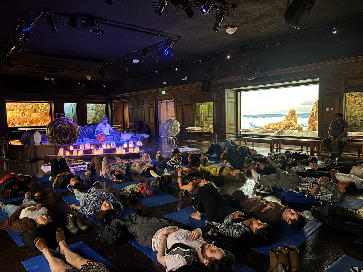 A group sound experience with OSO Sound Healing