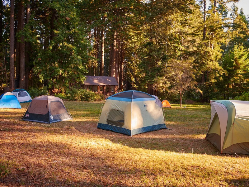 Bring Your Own Tent or Camper Van
