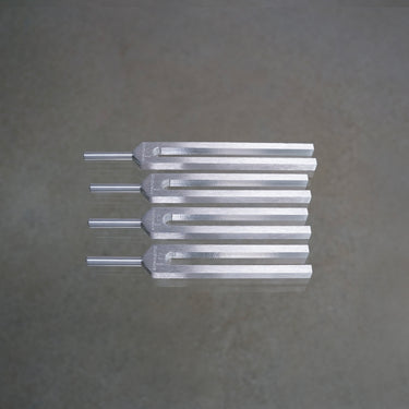 Leonardo (Set of 4)