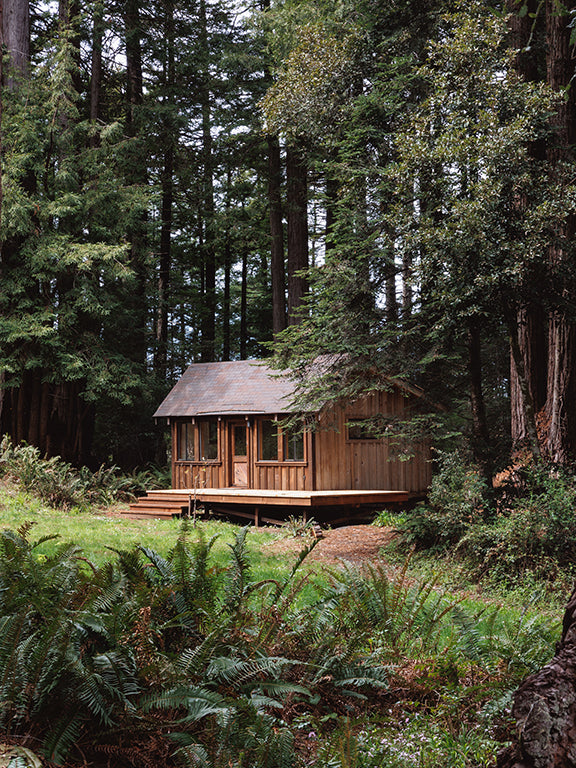 Northern California Eight-Day Sound Healing Training Retreat | Aug 8–15, 2026