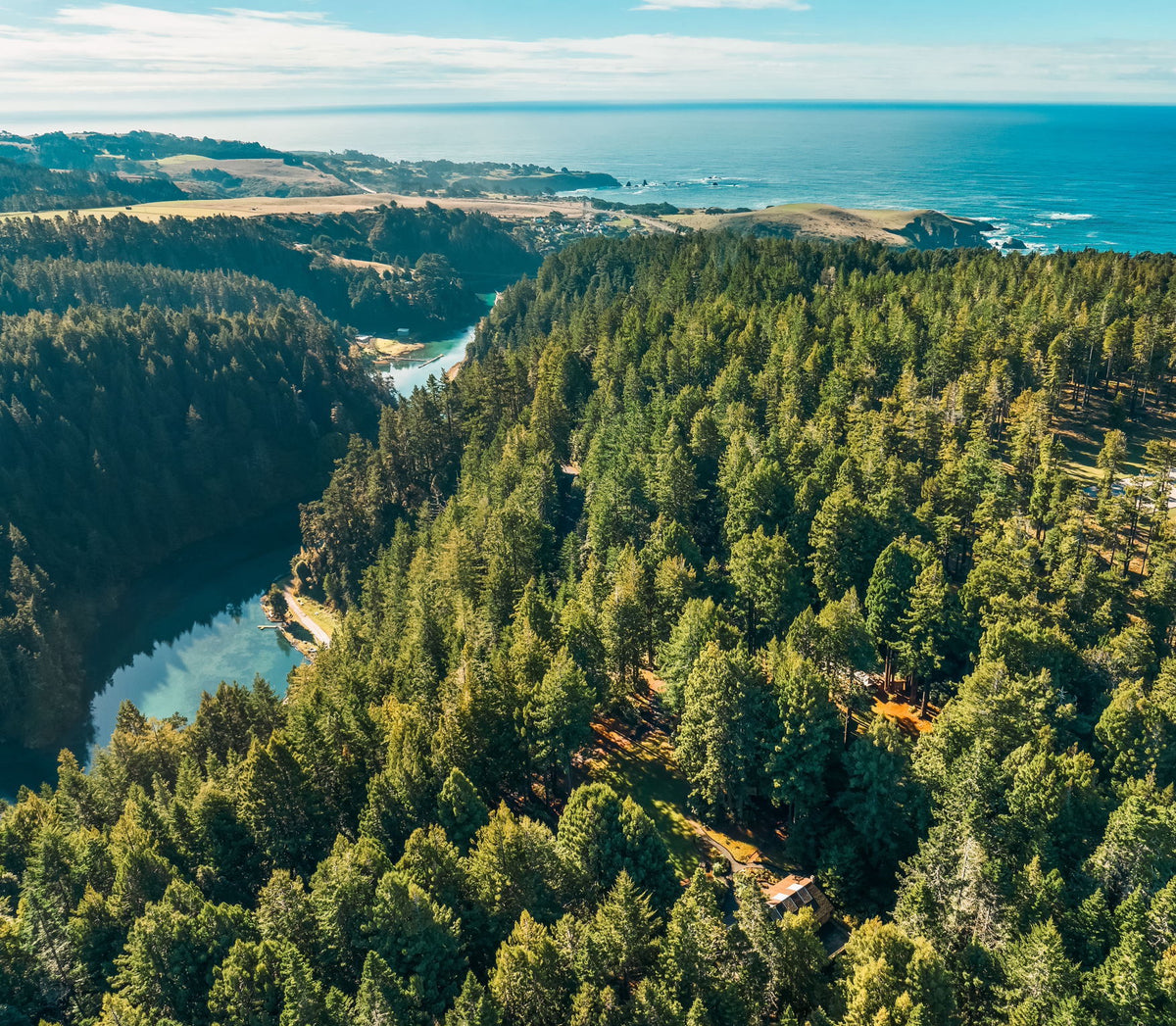 Aerial view of the redwood forest around Spirit Camp