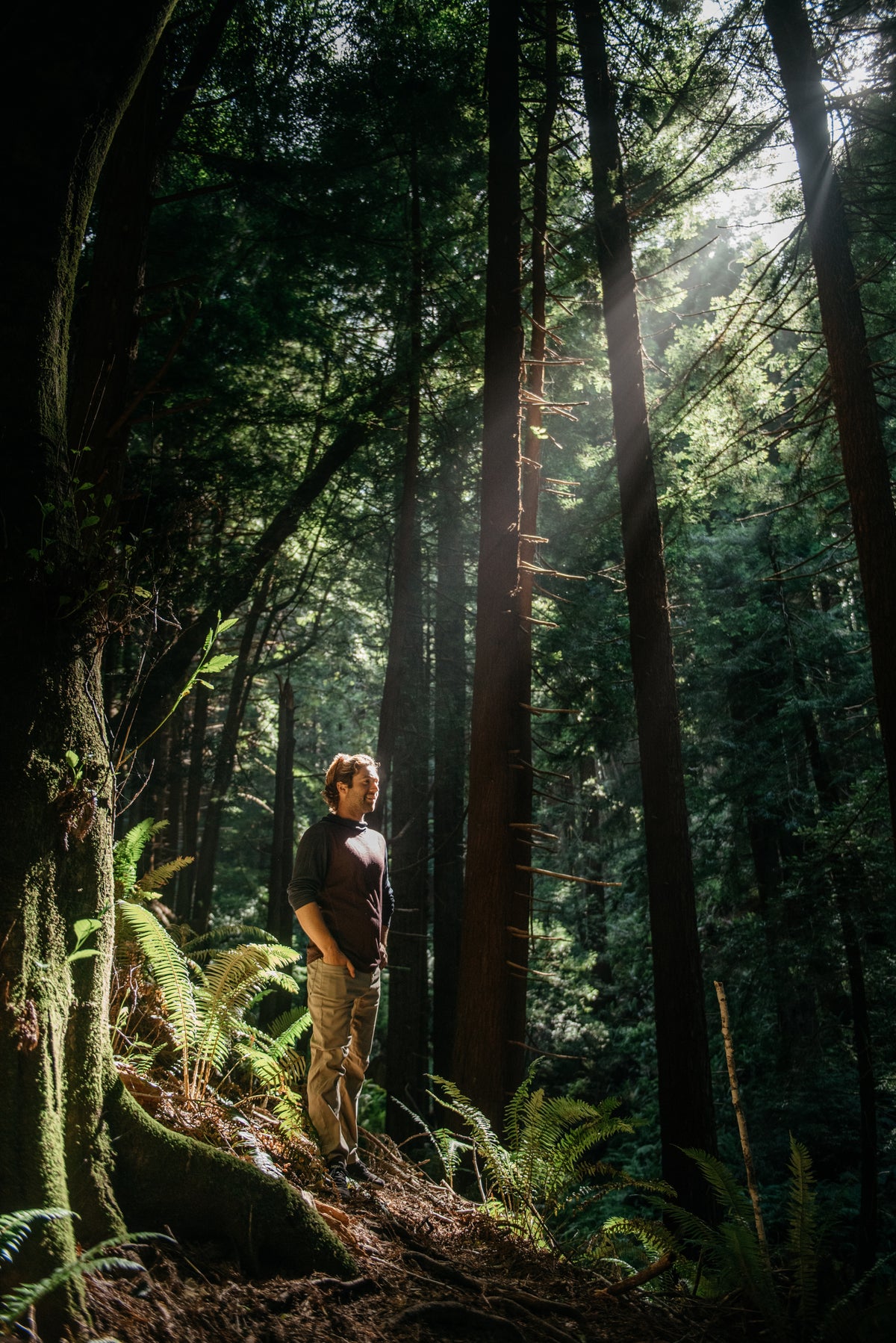 Northern California Eight-Day Sound Healing Training Retreat | Aug 8–15, 2026
