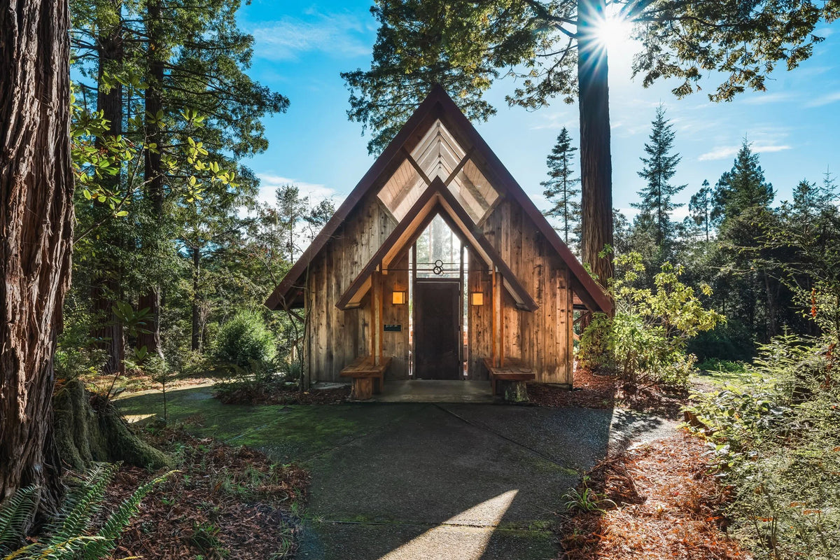 Northern California Eight-Day Sound Healing Training Retreat | Aug 8–15, 2026