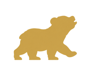 Osito, your pairing bear